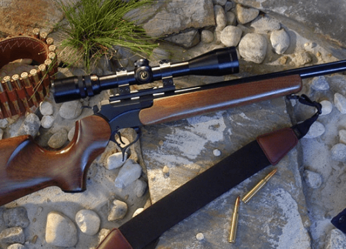 carabine de chasse