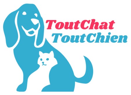 Annonces Chiens et chats