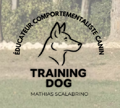 Training Dog - Éducateur Canin Comportementaliste - Aix en Provence