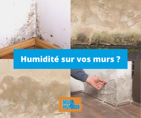 traitement de l'humidité des murs