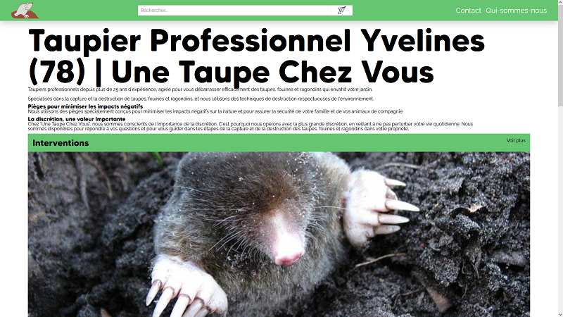 Une Taupe Chez Vous