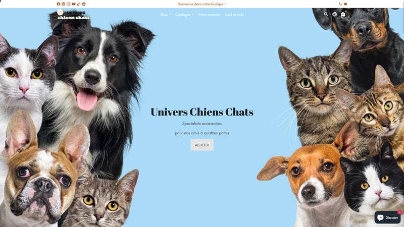 Univers chiens chats
