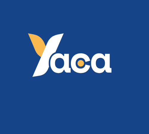 Yaca La boîte qui filme la vôtre 