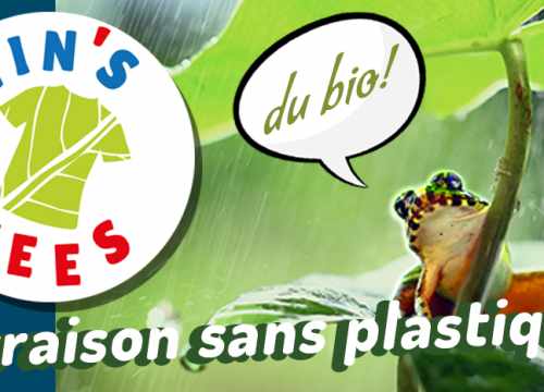 logo site vinstees.com avec une grenouille et bulle BD