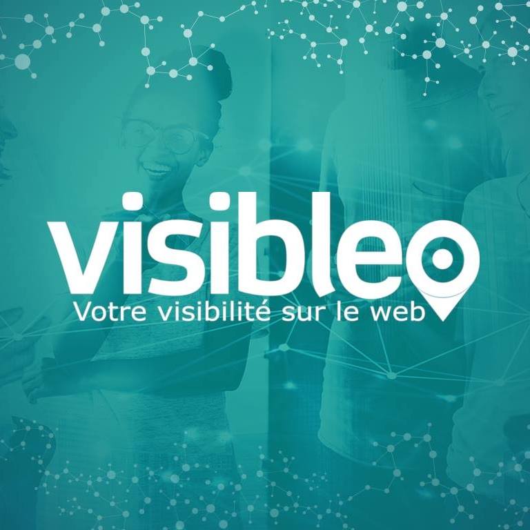 Visibleo agence seo & sea