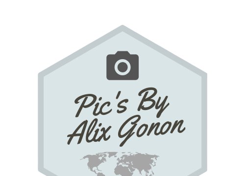 Logo de l'entreprise Alix Gonon