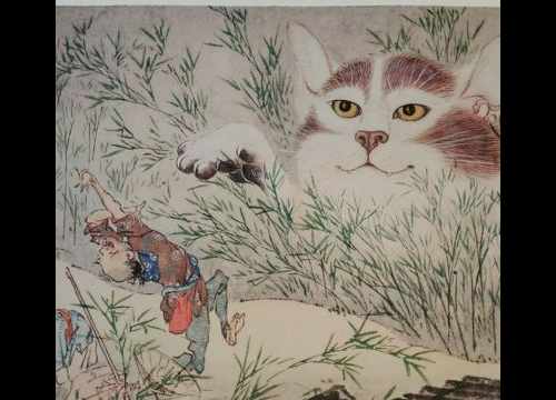 Chat de Kyosai