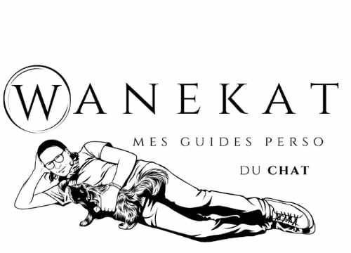 blog-chat
