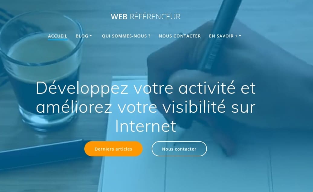 Web Référenceur