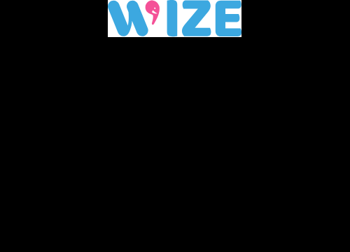 Wize Expert - Votre assistant(e) comptable dédié(e)