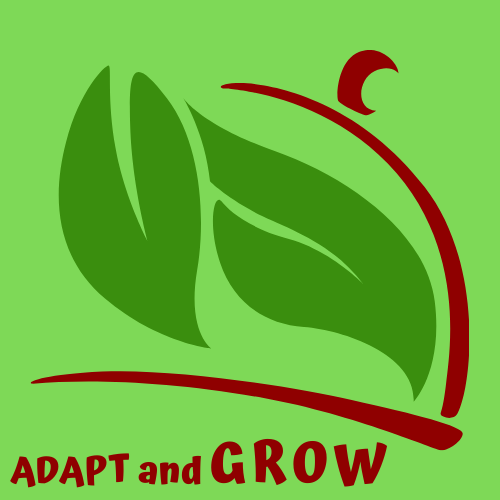 Adapt and Grow Entreprise de Coaching - Formation