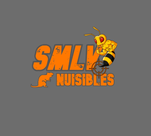 rats souris punaises de lit blattes cafards