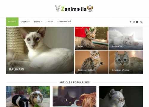 Zanimalia