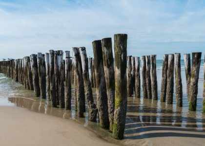 1919 Bains de Mer