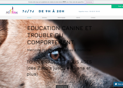 ADP Educ