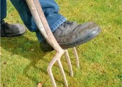 Aération du gazon avec une fourche