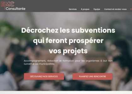 Consultant Demande de Subvention