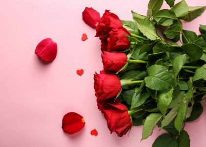 Amour de Roses