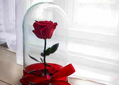 Boutique Amour Rose Éternelle