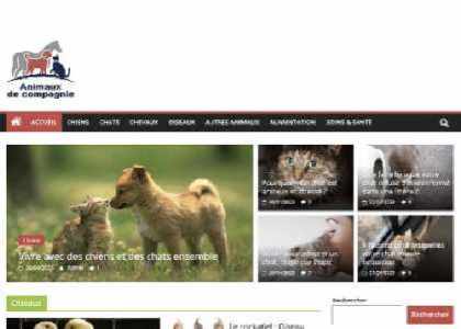 Animaux de compagnie