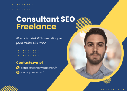 Consultant SEO Freelance