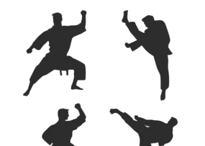 logo du dojo club de karaté à Avignon