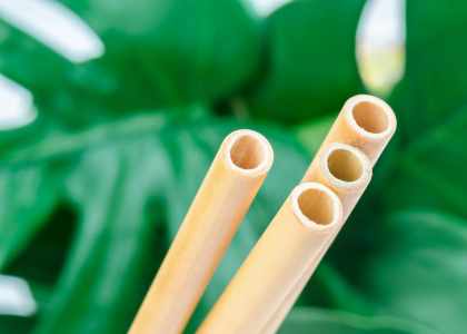 Bamboo Home Store