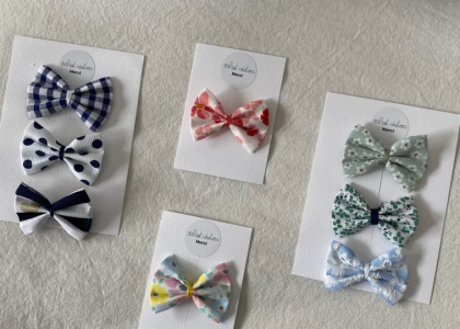 Barrette cheveux