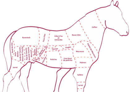 Boucherie à Toulouse