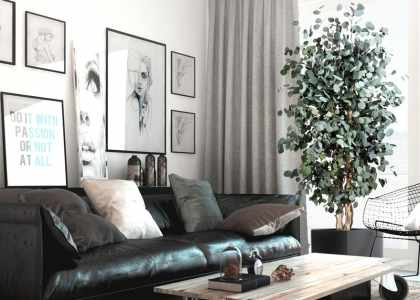 Arbre stabilisé dans un salon avec grand cache-pot