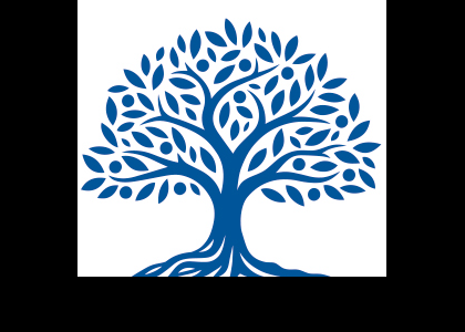 Logo officiel - Les Bons Conseils Financiers