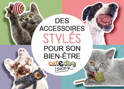 Boutique d'accessoires pour le chat et le chien