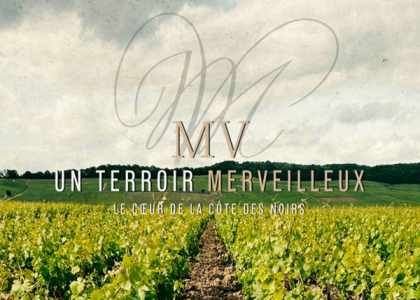 Champagne Maurice Vesselle Bouzy