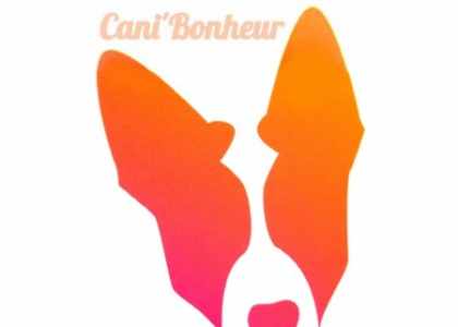 Cani'bonheur éducateur canin (37)