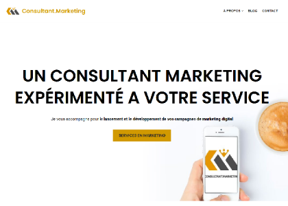 Consultant Marketing