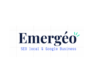 Consultant SEO local