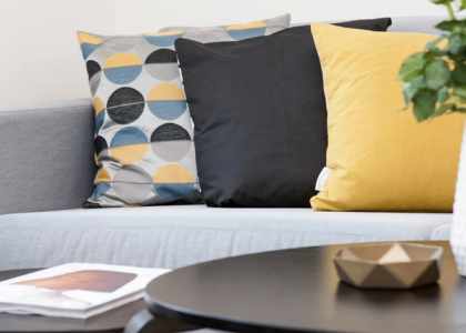 Coussin Malin