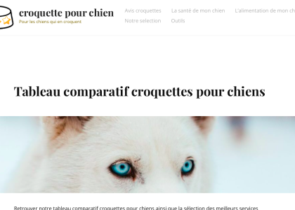 Croquette pour chien