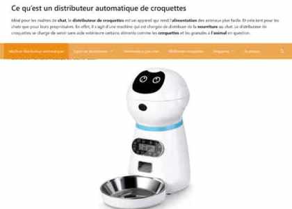 Distributeur Croquettes Chats : Offrez le Meilleur à Votre Animal