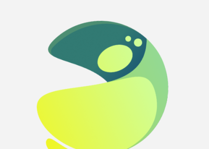 Site web Dizitalizeo