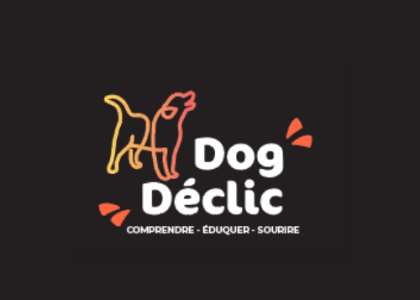 Dog Déclic - Éducateur canin et comportementaliste pour tous les chiens : Bourgoin-Jallieu 