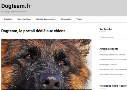 Vignette du site Dogteam.fr
