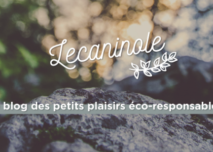 Lecaninole.fr : bio, DIY, zéro déchet