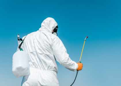 exterminateur professionnel Québec
