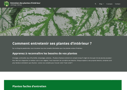 Entretien plante intérieur