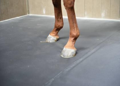 matelas pour boxe chevaux technical horse