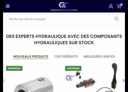 Site experthydraulique.com