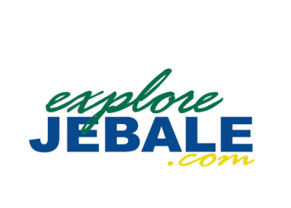 Logo du site web