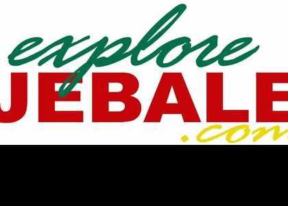Logo du site web