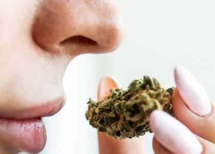 famous CBD